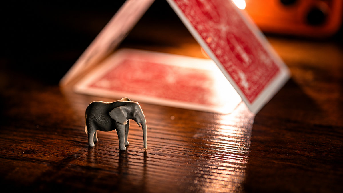The Vanishing Elephant